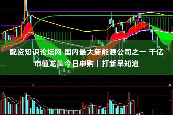 配资知识论坛网 国内最大新能源公司之一 千亿市值龙头今日申购丨打新早知道