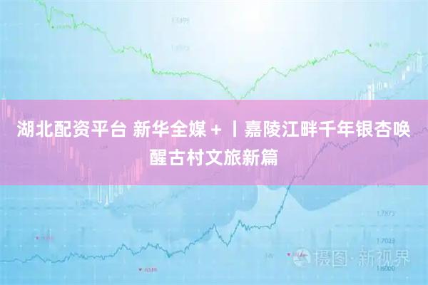 湖北配资平台 新华全媒＋丨嘉陵江畔千年银杏唤醒古村文旅新篇